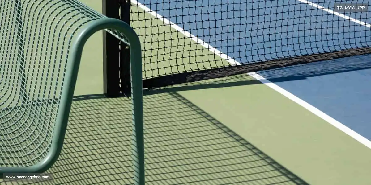 PA旗舰厅✨星光不负赶路人,运动不负有心人!你的坚持,终将闪耀全场~